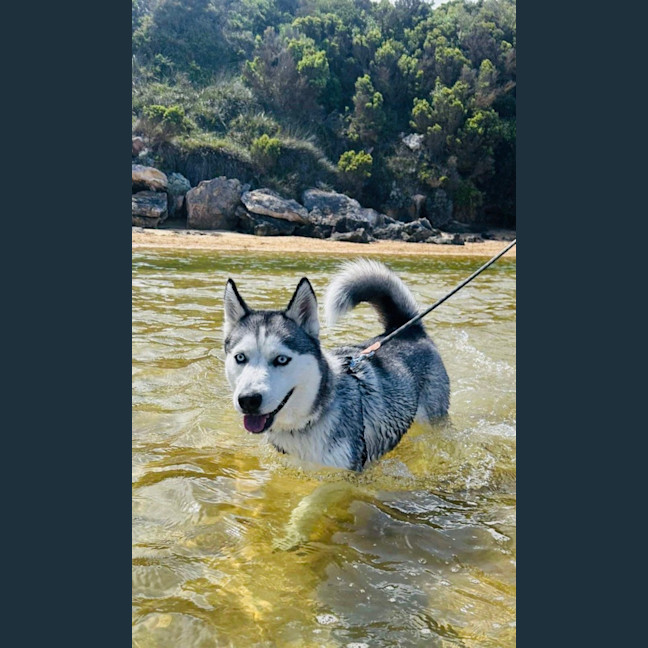 Photo of Lilly