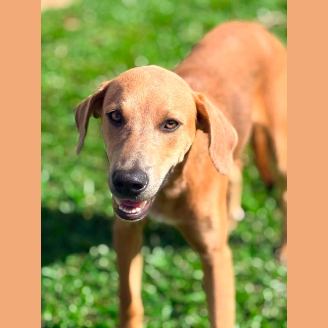 Photo of Archer