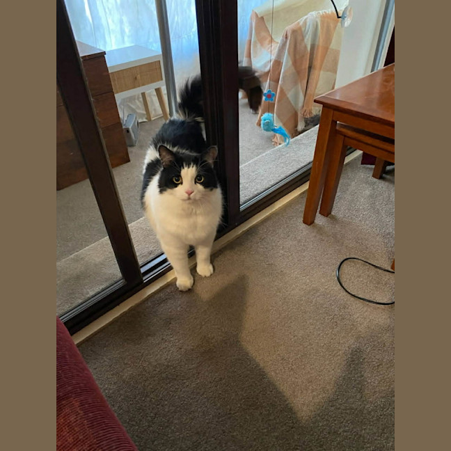 Photo of Richie Rich