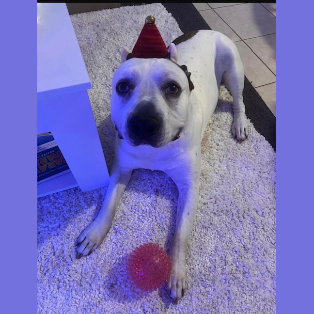 Photo of Turbo