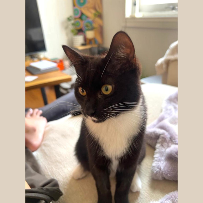 Photo of Zoe