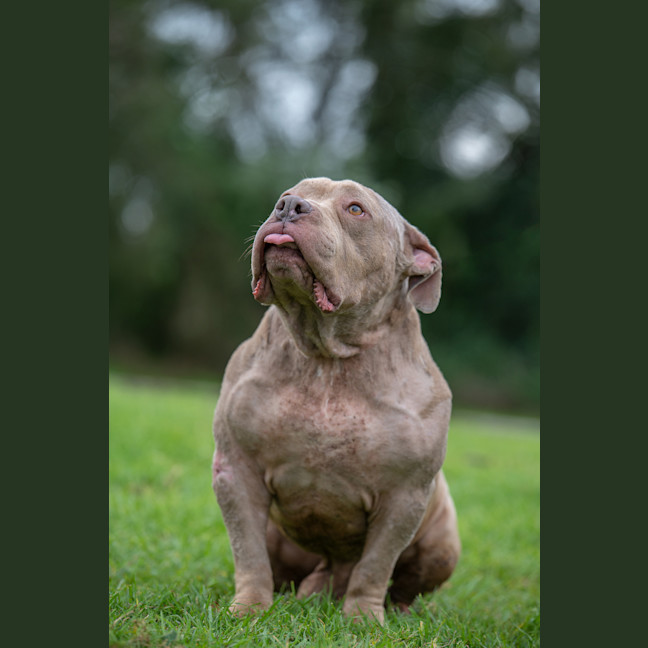 Photo of Wally