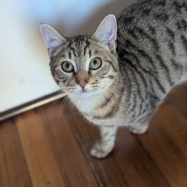 Photo of Dean Winchester