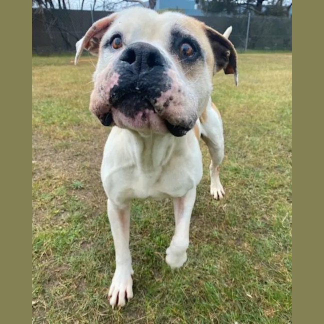 Photo of Buddy Xenos