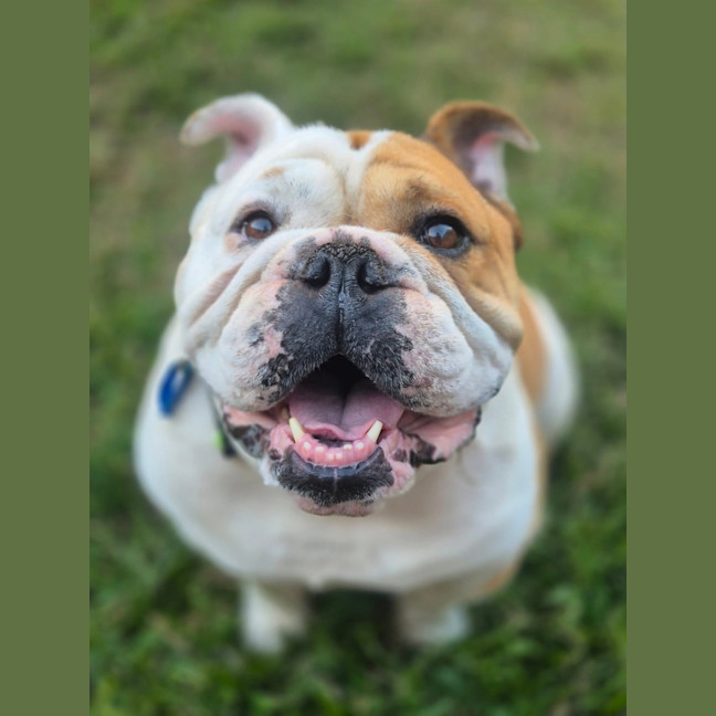 Photo of Sally & Jasper