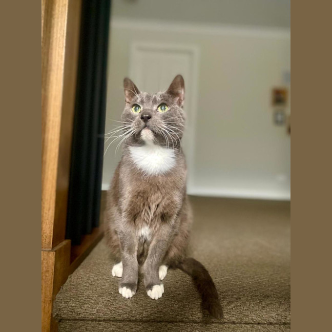 Photo of Prince Henry