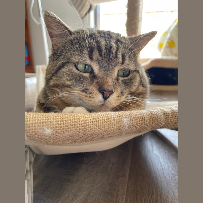 Photo of Bryant Russelton