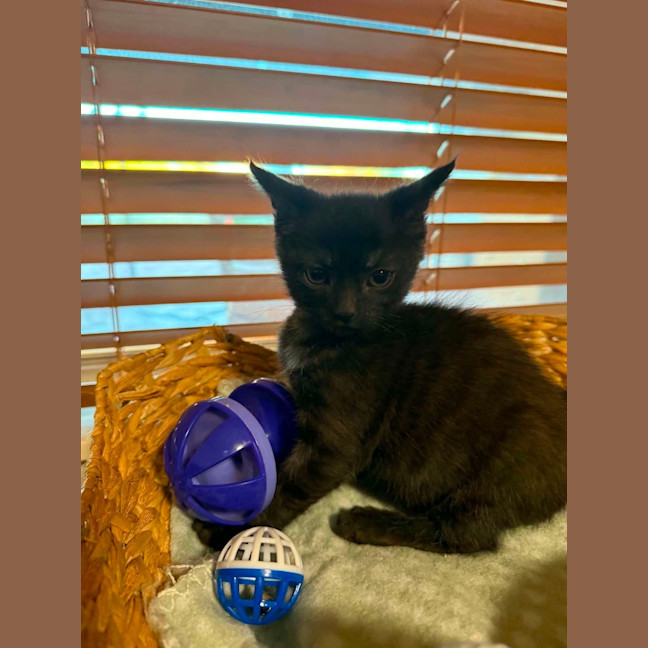 Photo of Zoom