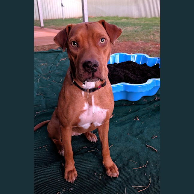 Photo of Tess