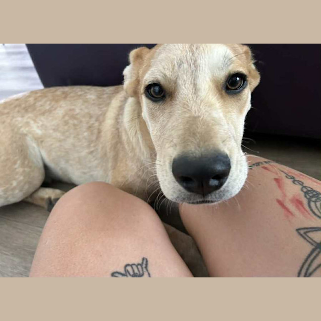 Photo of Benny