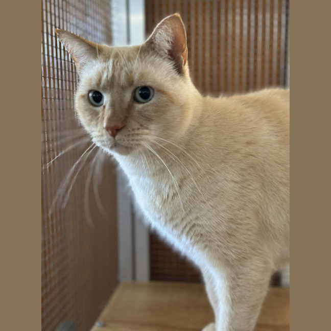 Photo of Jessie James