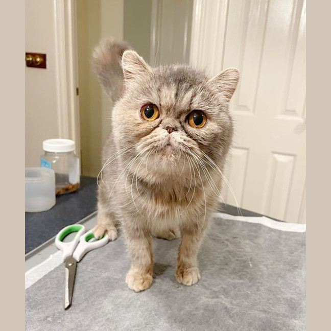 Photo of 🌺Sakura🌺