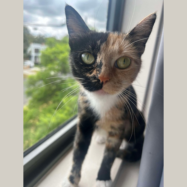 Photo of Ruby ❤️