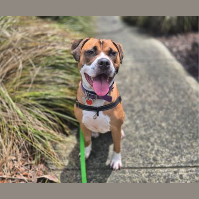 Photo of Cashina