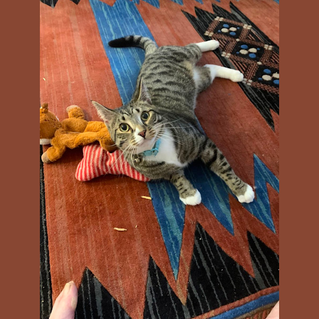 Photo of Sutton   Best Buds With Kevin   Check His Profile