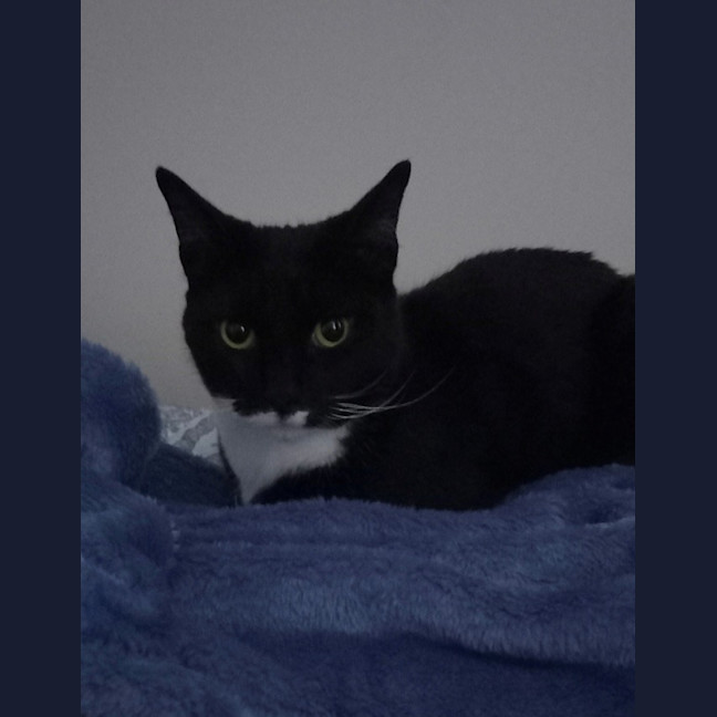 Photo of Chloe