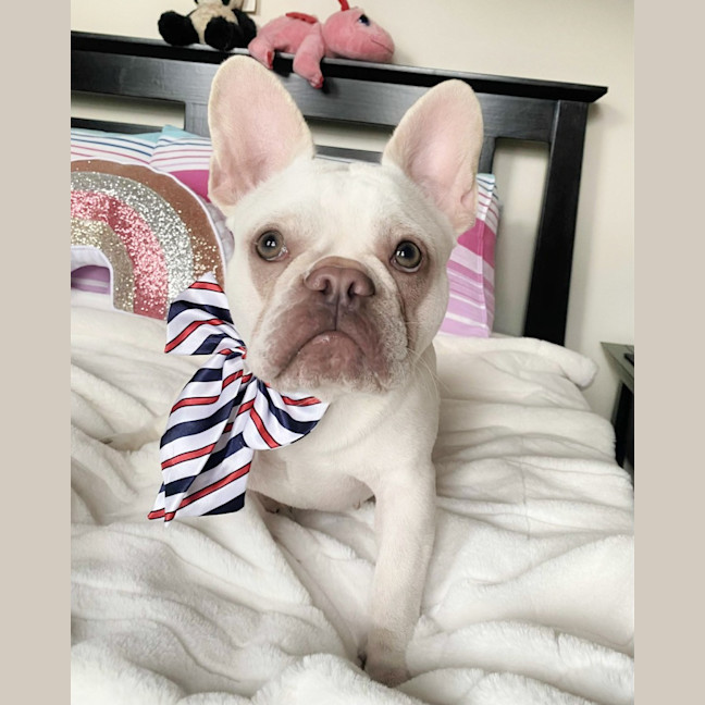 Photo of 🧚‍♀️pixie🧚‍♀️