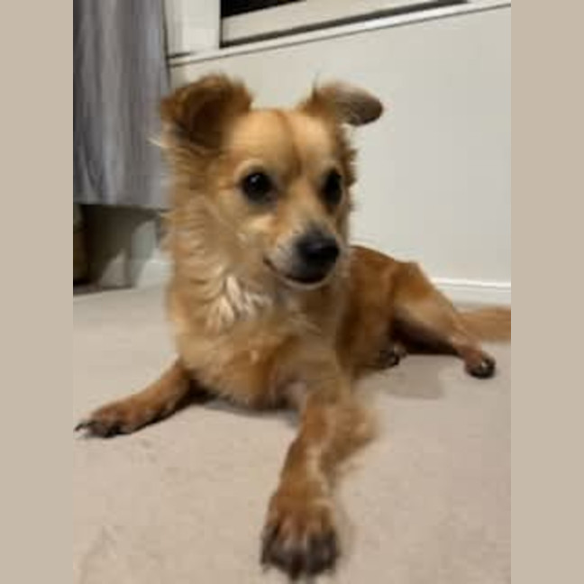 Photo of Buster