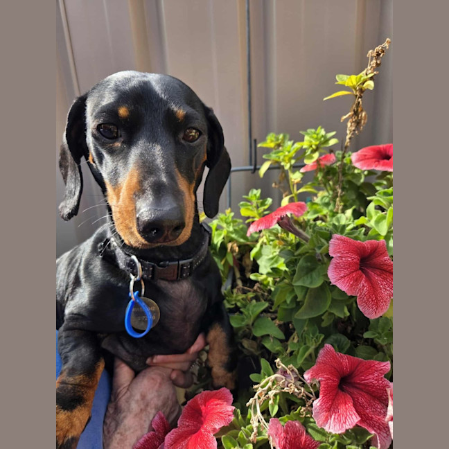 Photo of Mia