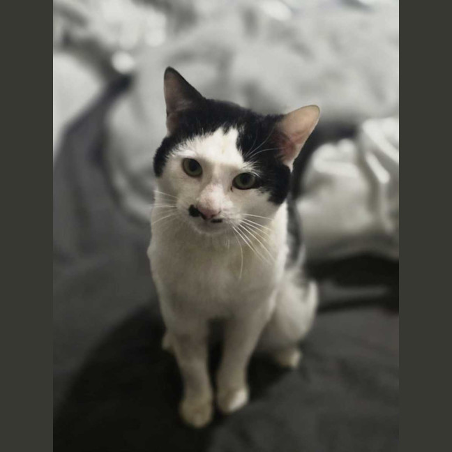 Photo of Frank