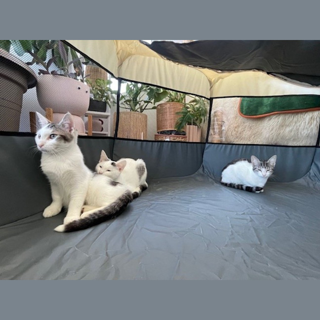 Photo of Alice (With Edward)