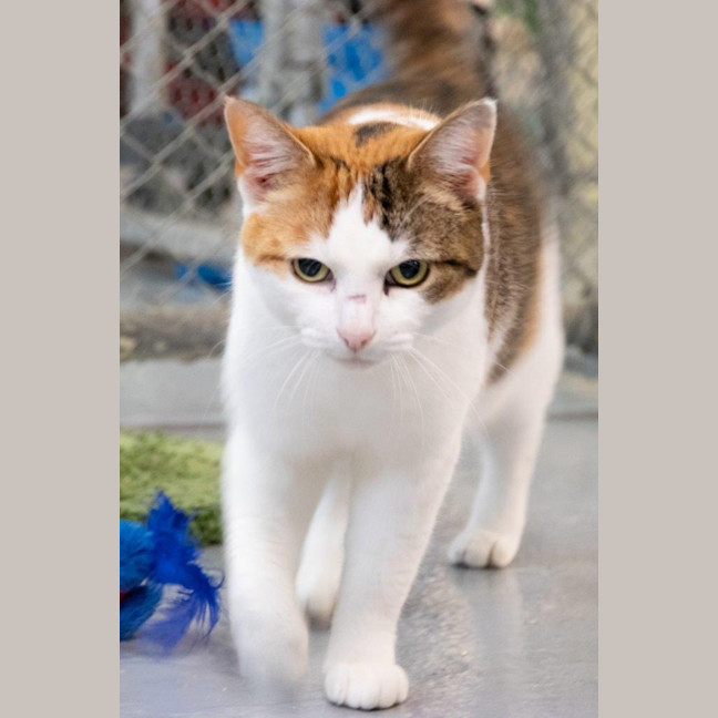 Photo of Hazel Moriarty