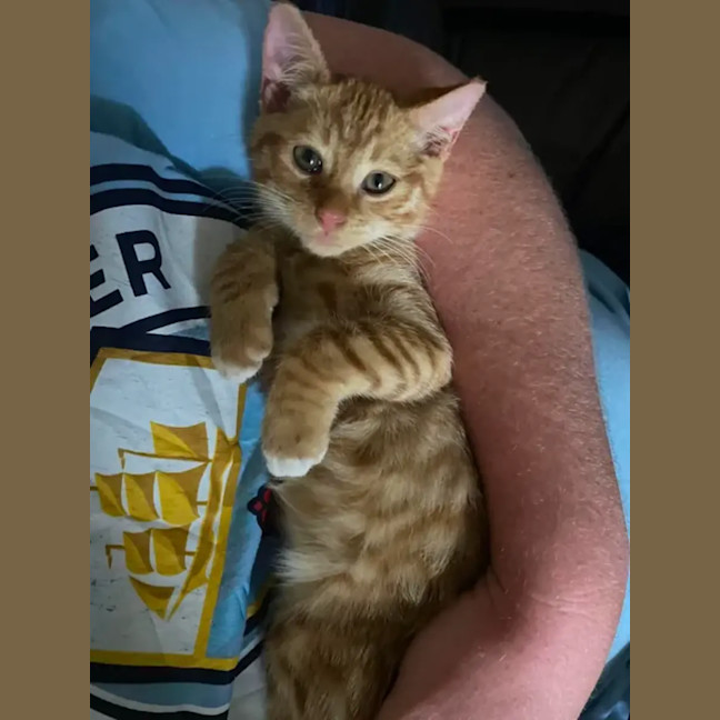 Photo of Garfield