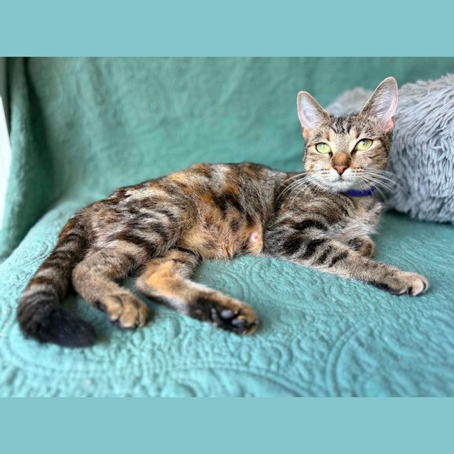 Photo of Lilibet