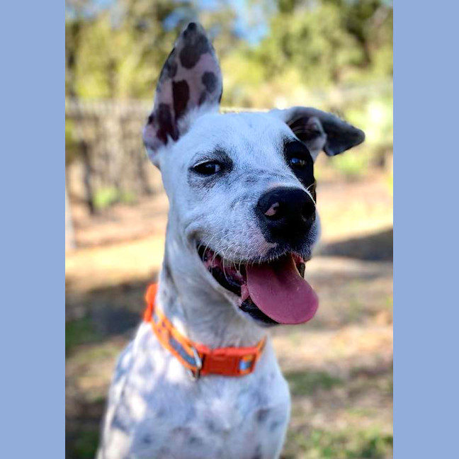 Photo of Vinnie