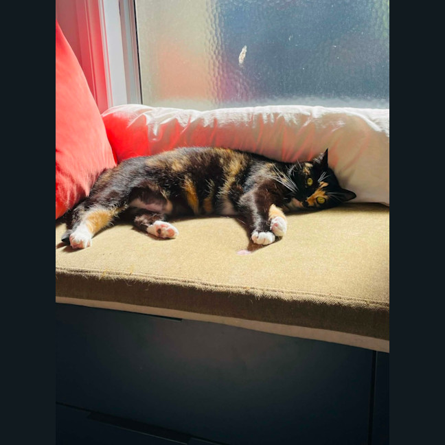 Photo of Aggie