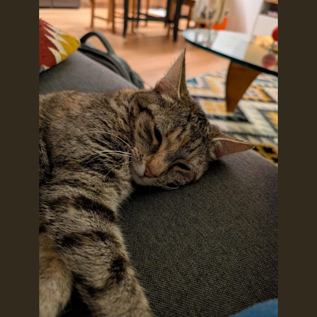 Photo of Hazel   In Foster Care In Brunswick East