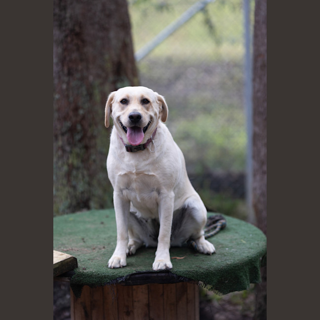 Photo of Sunny