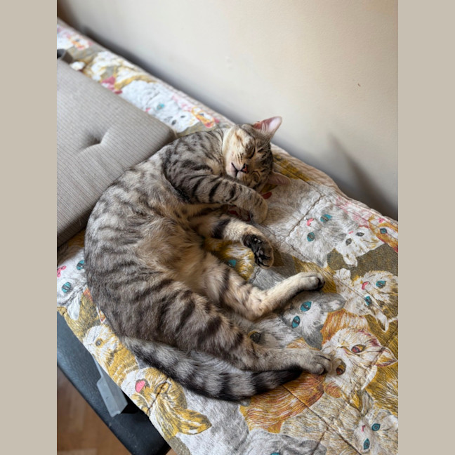 Photo of Mikey And Bob