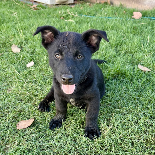 Photo of Betty