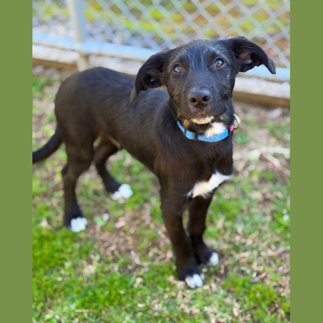 Photo of Wilbur
