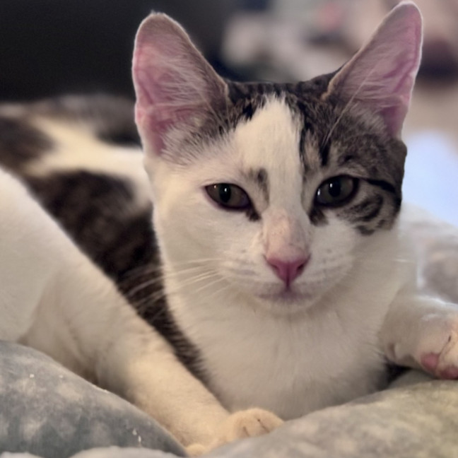 Photo of Coco