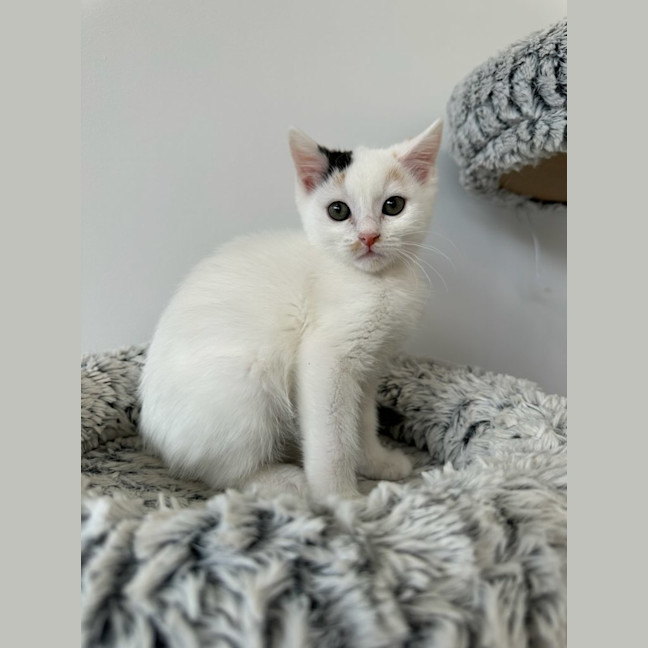Photo of Emelia May