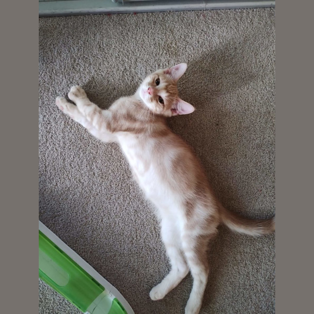 Photo of Raphael