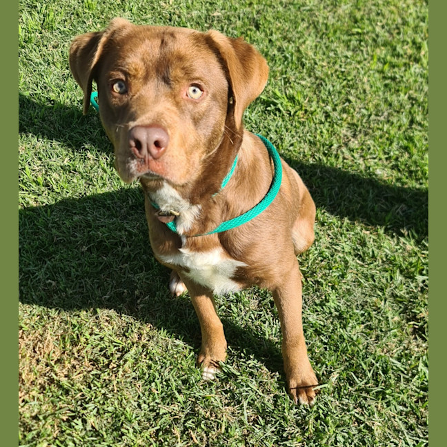 Photo of Titus 