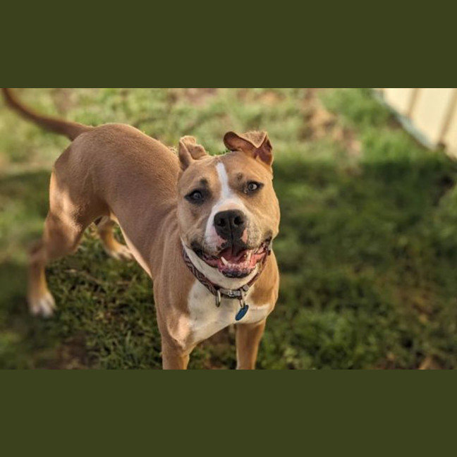 Photo of Kimber