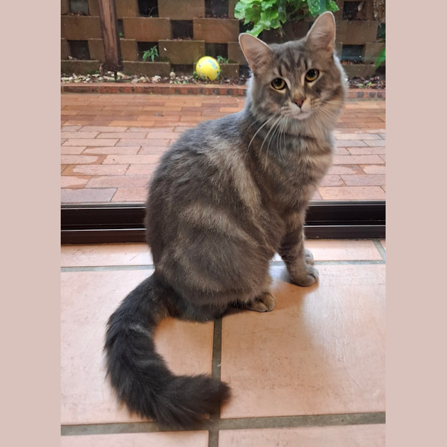 Photo of Leonardo