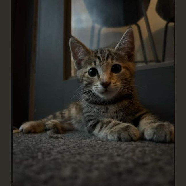 Photo of Marcie