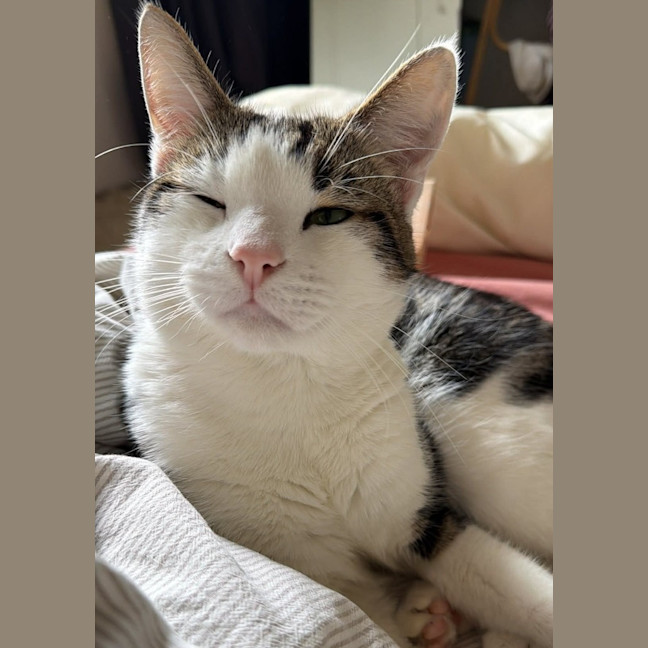 Photo of Bobby