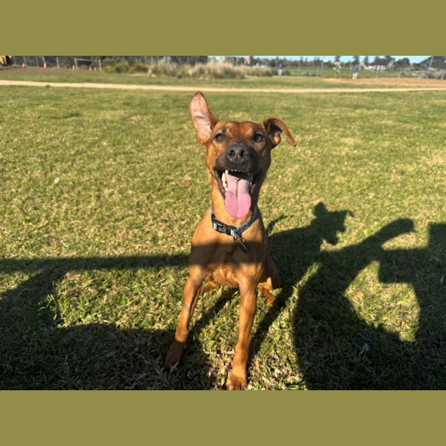 Photo of Missy Peggotty