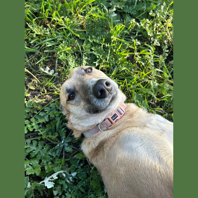 Photo of Xena