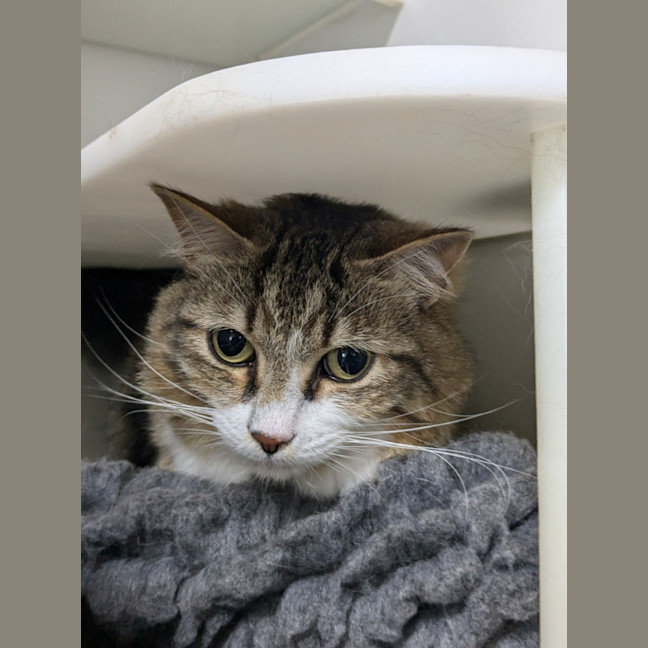 Photo of 🪀 James (Jimmy) 5740 🪀