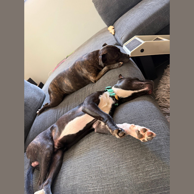 Photo of George Costanza