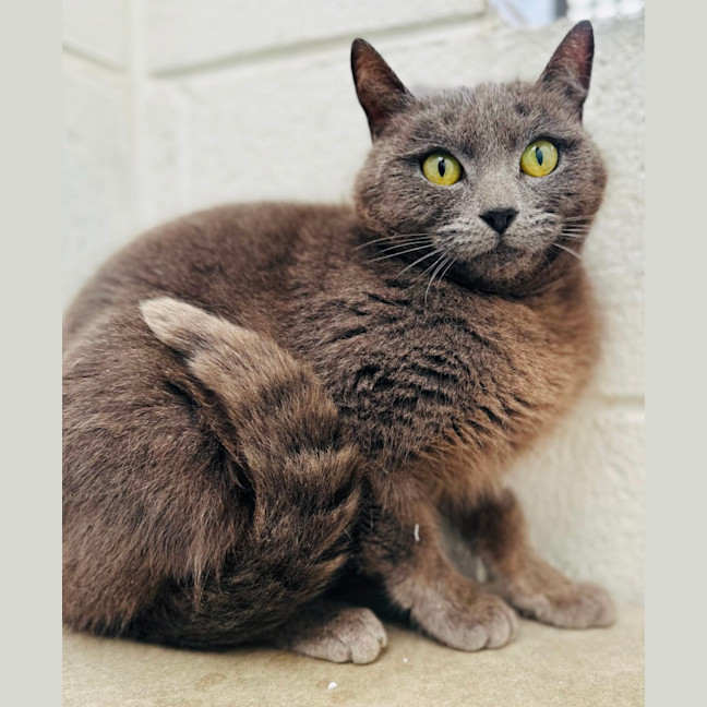 Photo of Miss Grey