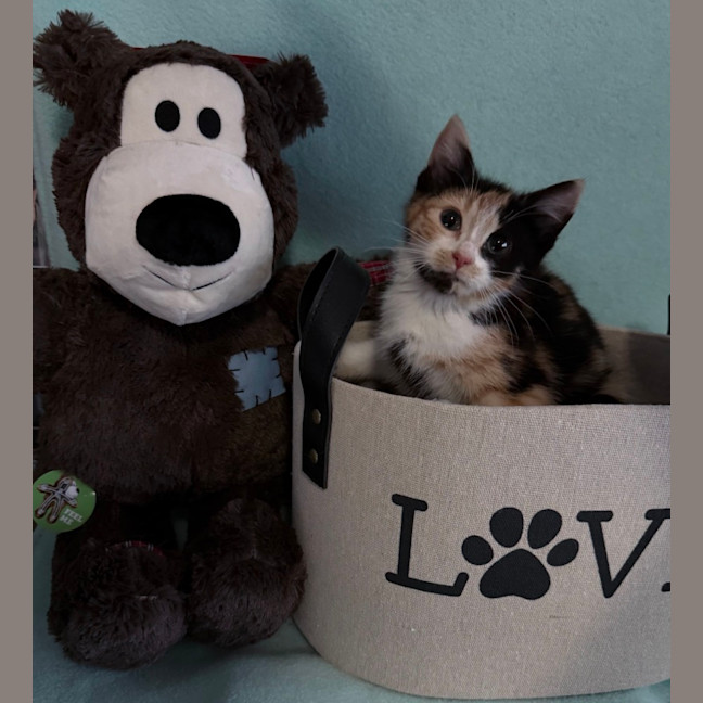 Photo of Wynter 🌺