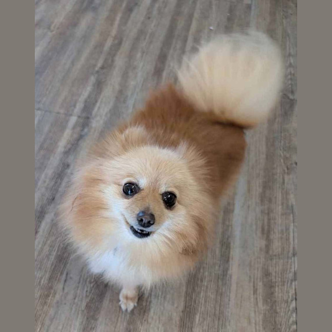 Photo of Betty